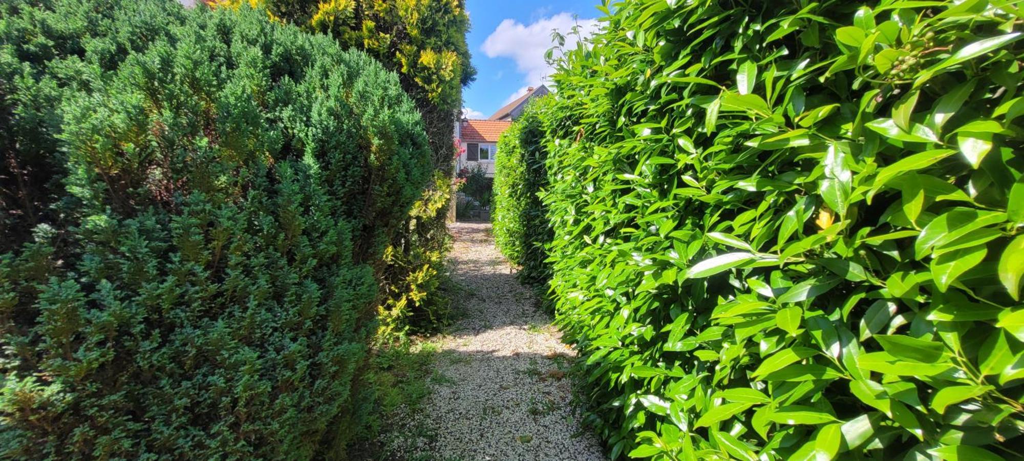 La Maison De L'Abeille De Percey Longeau-Percey Kültér fotó